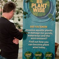 be plant wise 1001 1015